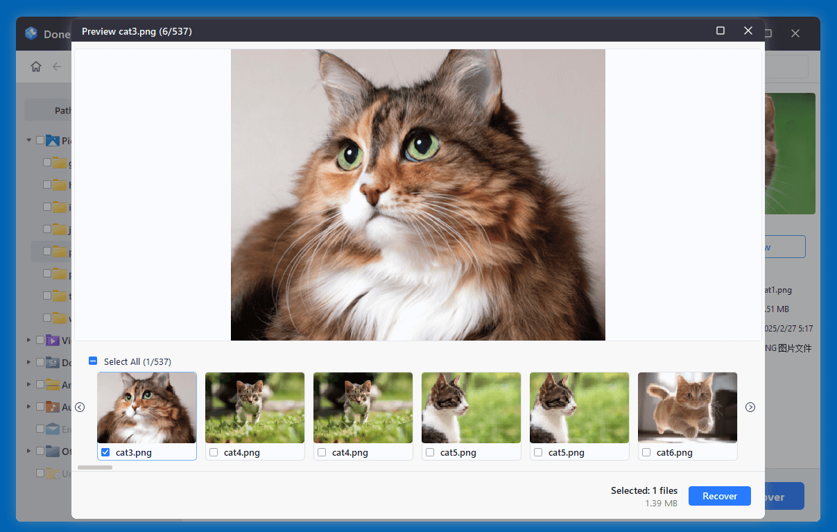 Recover Lost Data from ADATA SD Card