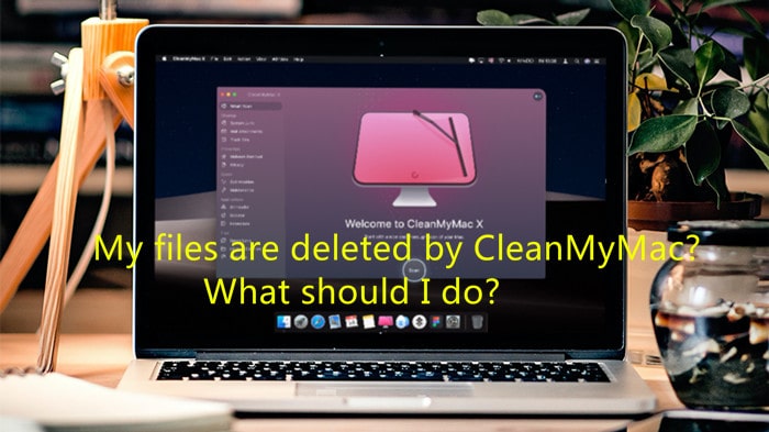 Files Deleted by CleanMyMac