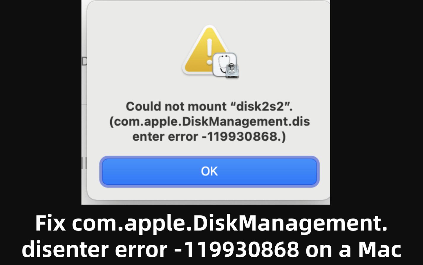 com.apple.DiskManagement.disenter error -119930868
