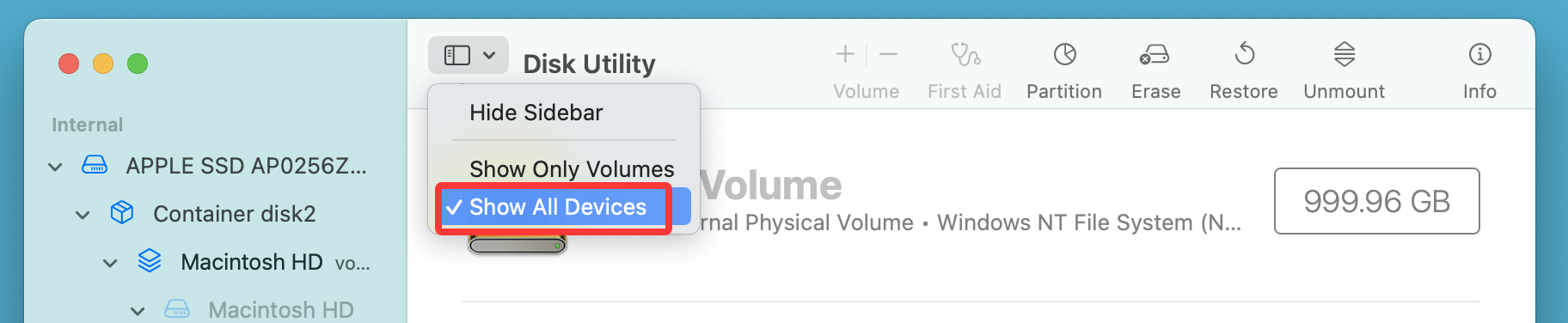 com.apple.DiskManagement.disenter error -119930868
