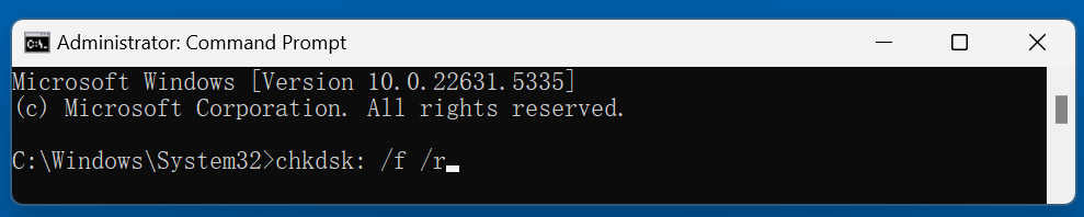 Perform a Disk Check (CHKDSK)