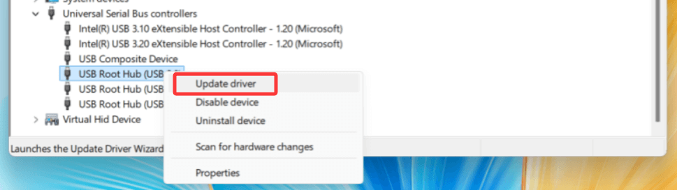 Choose Update driver