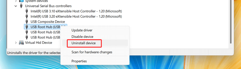 Reinstall USB Controllers