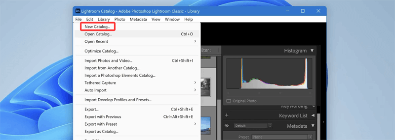 Rebuilding a New Lightroom Catalog