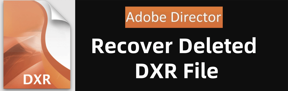 recover deleted DXR files