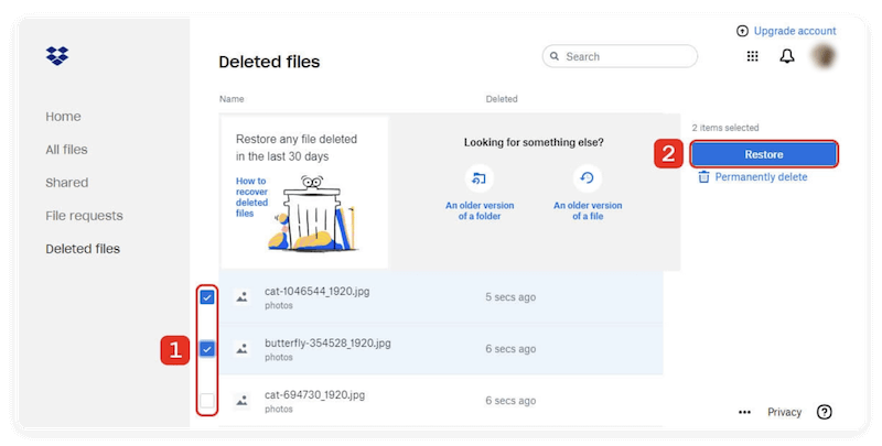 recover deleted files from Dropbox