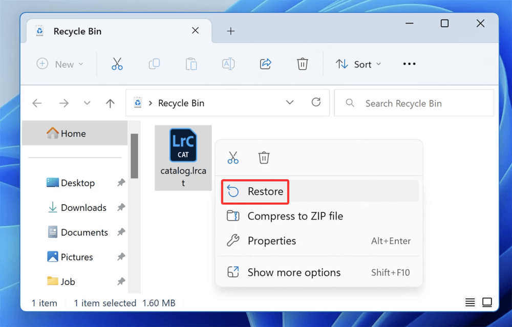 Recover deleted LRCAT file on Windows