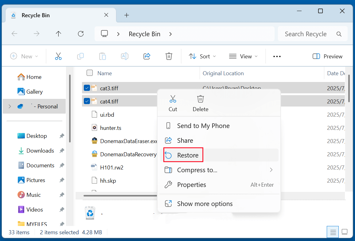 Recover Deleted or Lost TIFF Images From Recycle Bin