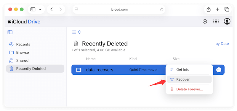 recover delted QuickTime files
