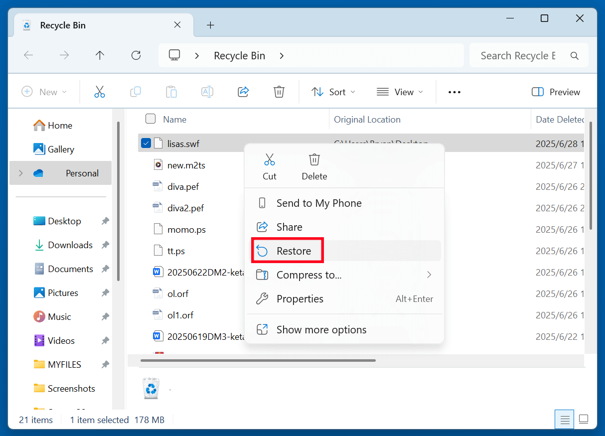 Recover Deleted SWF Files from Recycle Bin