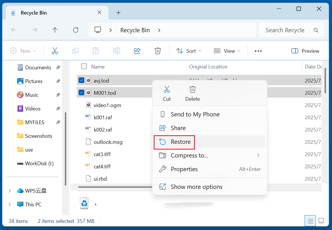 Recover Deleted TOD Files from Recycle Bin