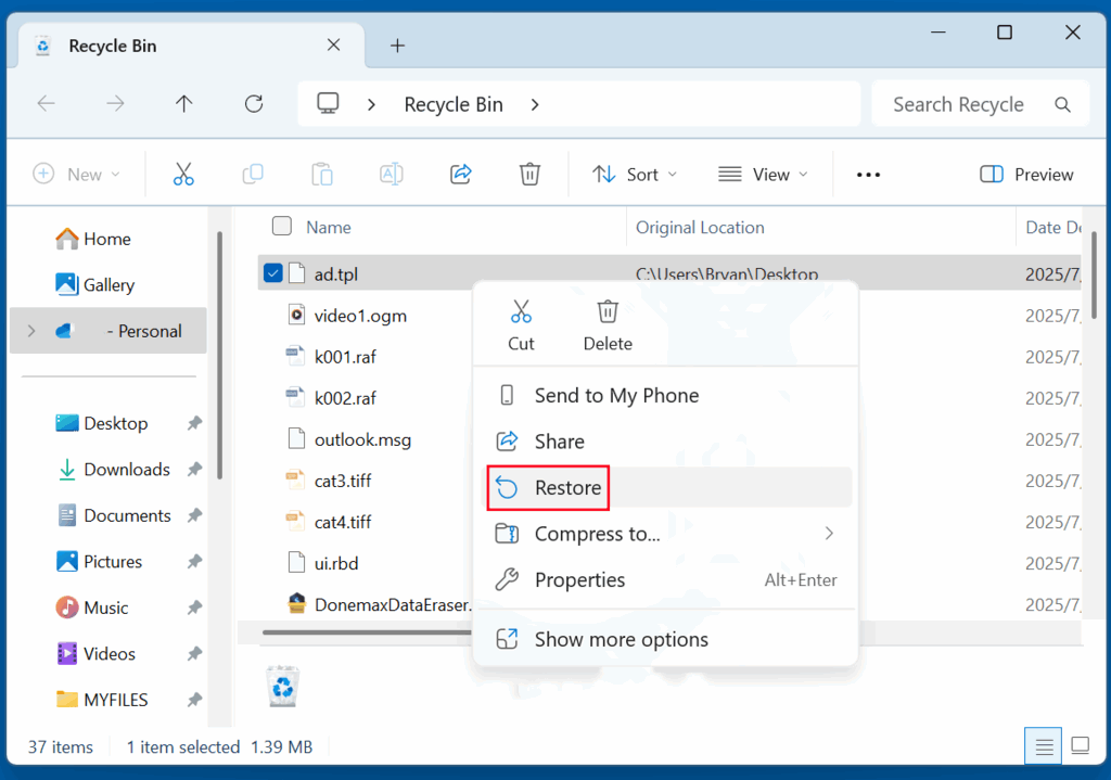 Recover Deleted TPL File from Recycle Bin