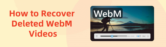 how to recover deleted WebM videos