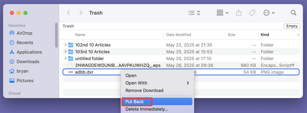 Recover DXR File from Trash