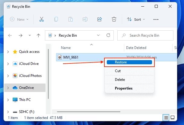 recover from Recycle Bin (Windows)