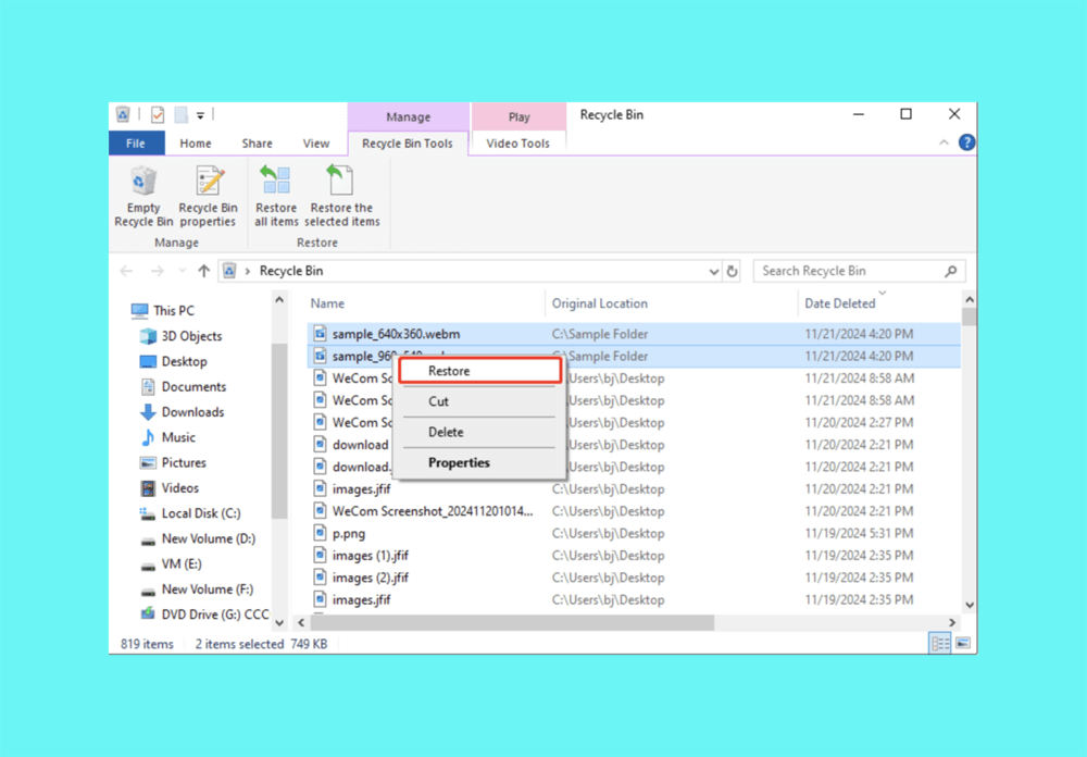 Restore Deleted WebM Videos from Recycle Bin