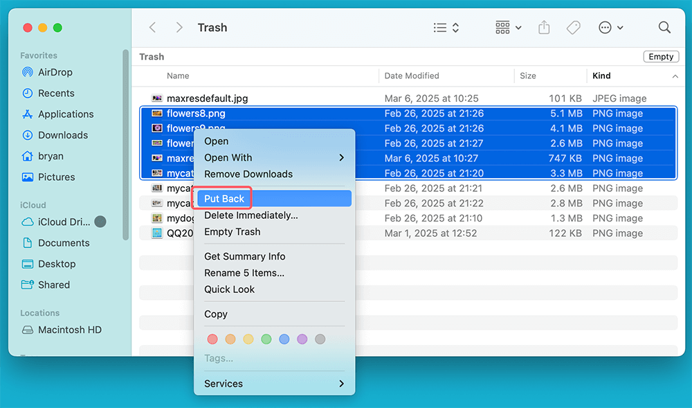 Trash recovery on Mac