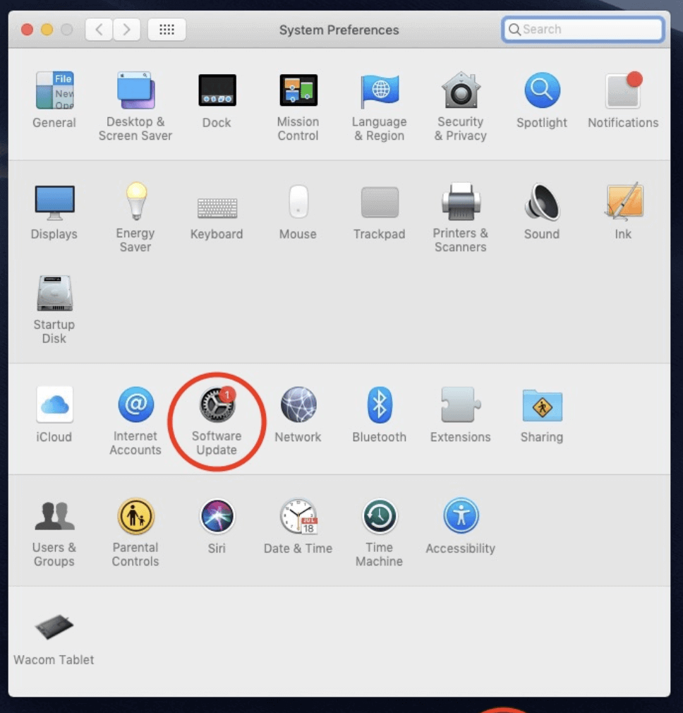 disable macOS auto-updates