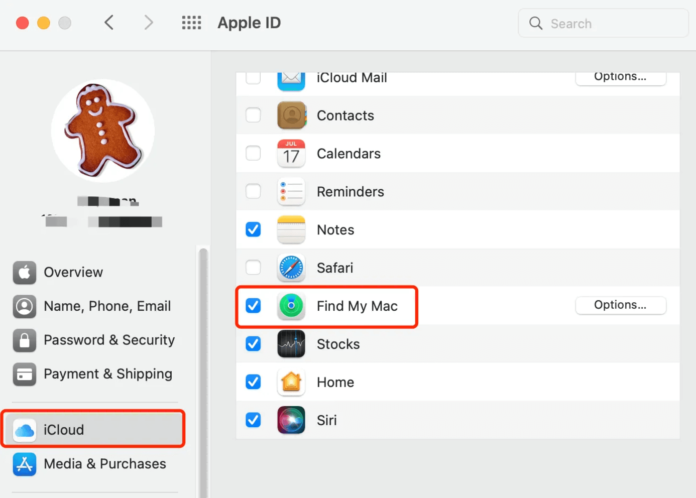 factory reset on macOS Big Sur