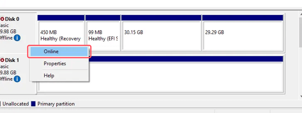 Bring Drive Online (Windows)