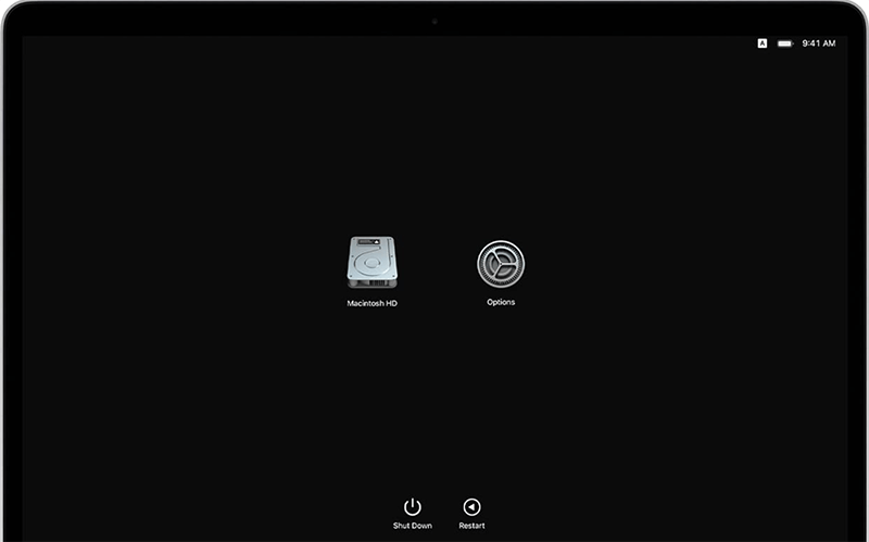 Boot into macOS Recovery Mode