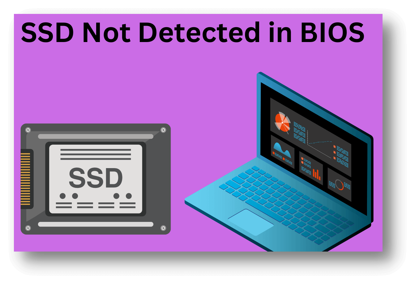 SSD Is Not Detected in BIOS, Fix IT