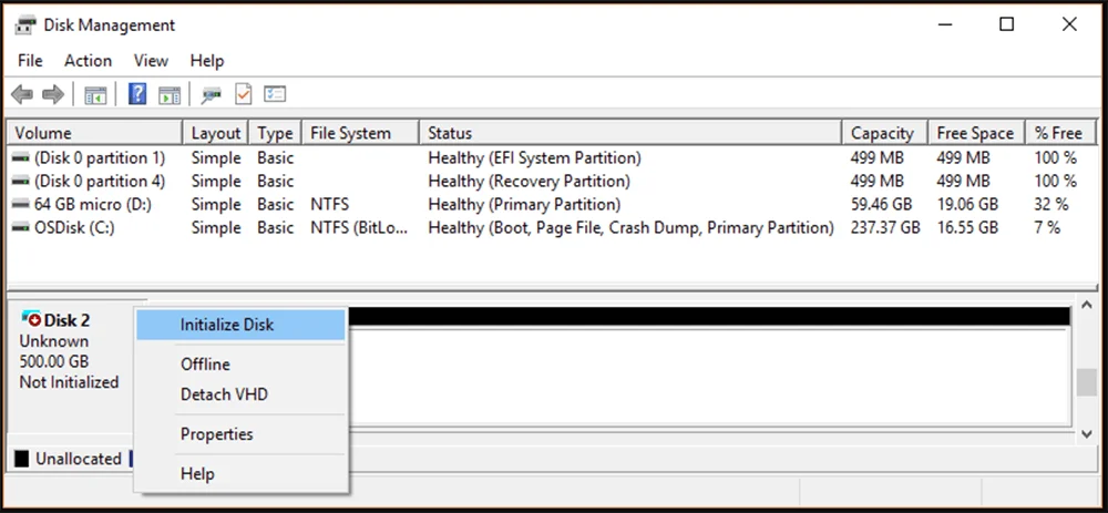 Choose Initialize Disk