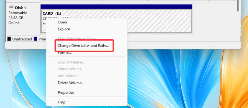Right-click on it and select Change Drive Letter and Paths