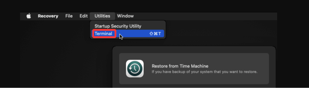 Unable to Verify Startup Disk error on Mac