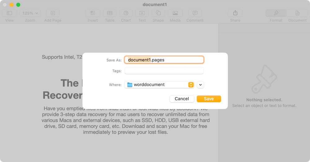 fix unreadable Word document on Mac