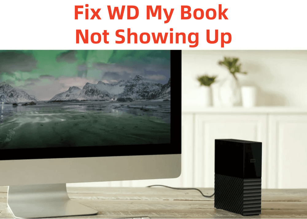 fix WD My Book not showing up on Windows 11/10/8