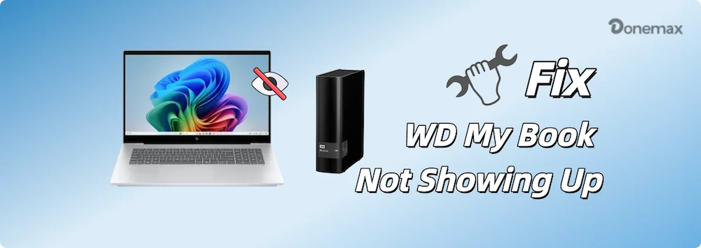 fix WD My Book not showing up on Windows 11/10/8