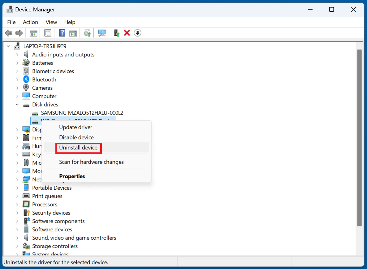 fix WD My Book not showing up on Windows 11/10/8