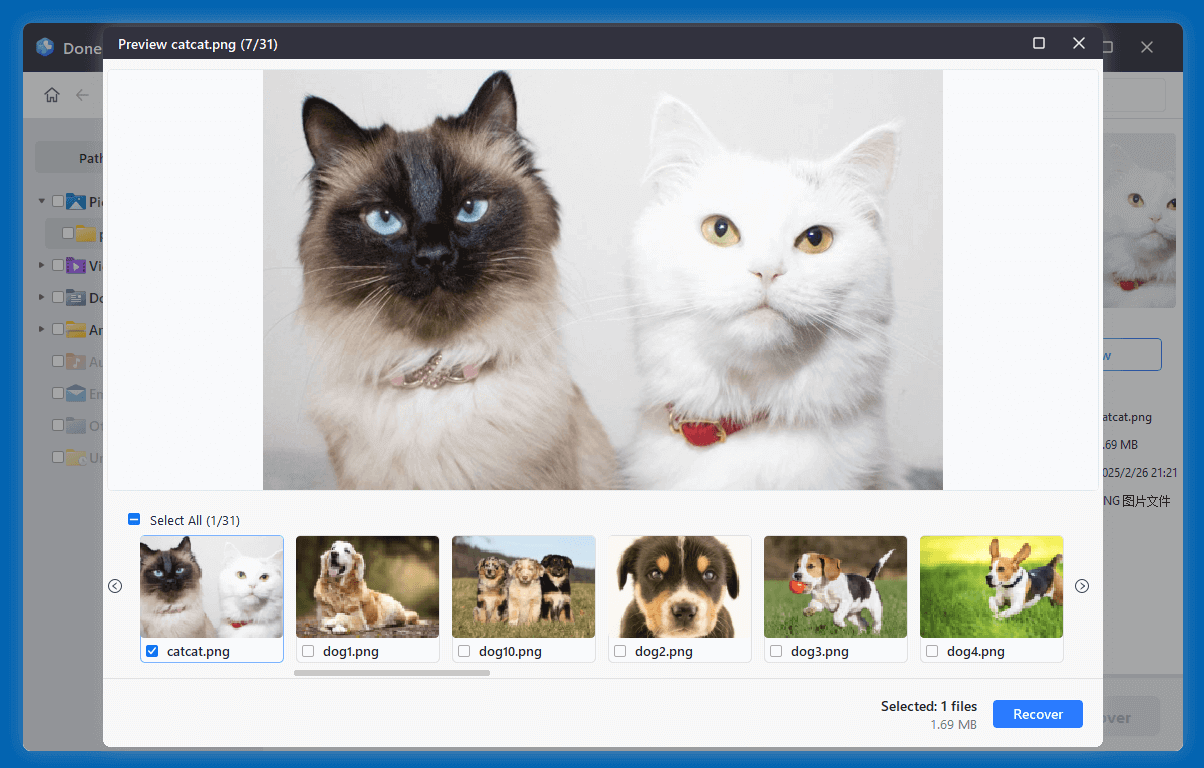 recover files from the WD My Book