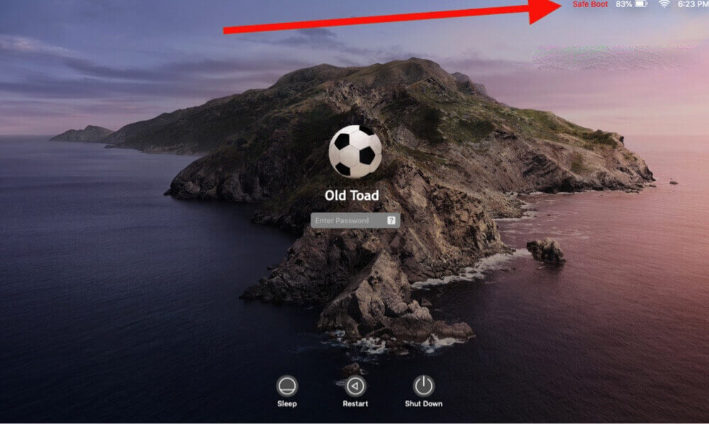 Your computer was restarted because of a problem