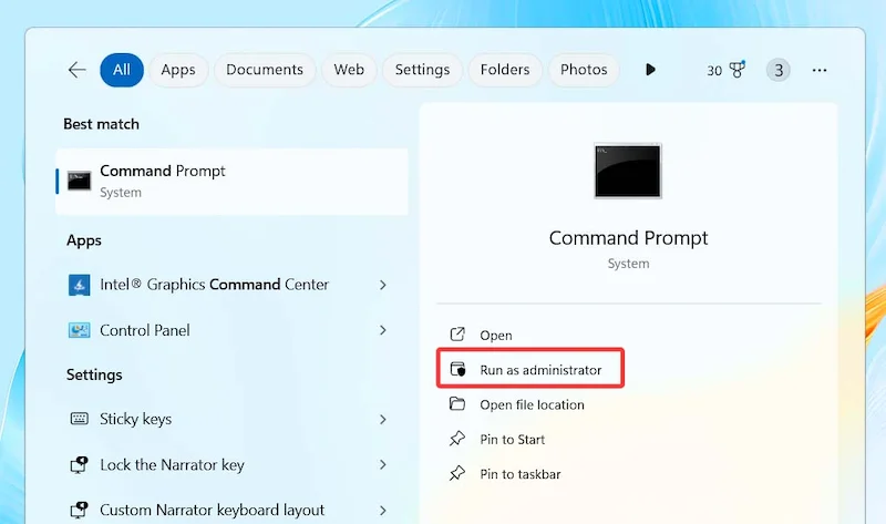 Check File System Integrity