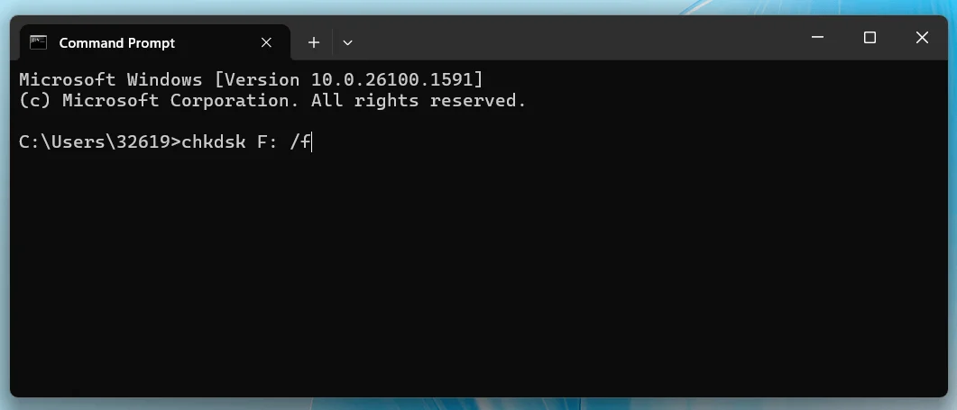 Check File System Integrity