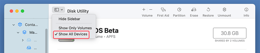 APFS Volume Doesn't Appear