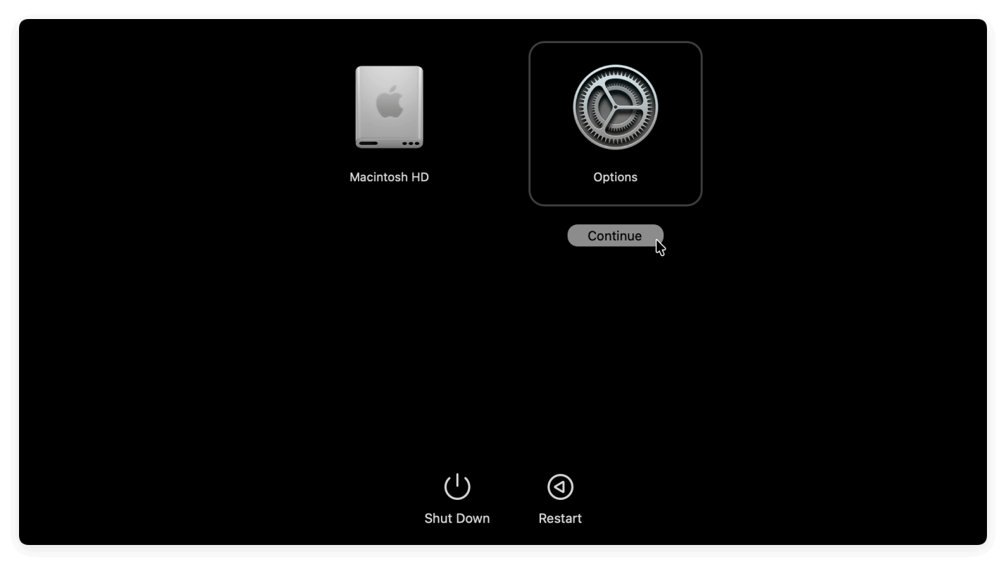 wipe startup disk on macOS Tahoe