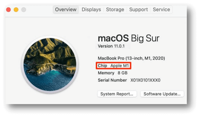 check Mac’s chip