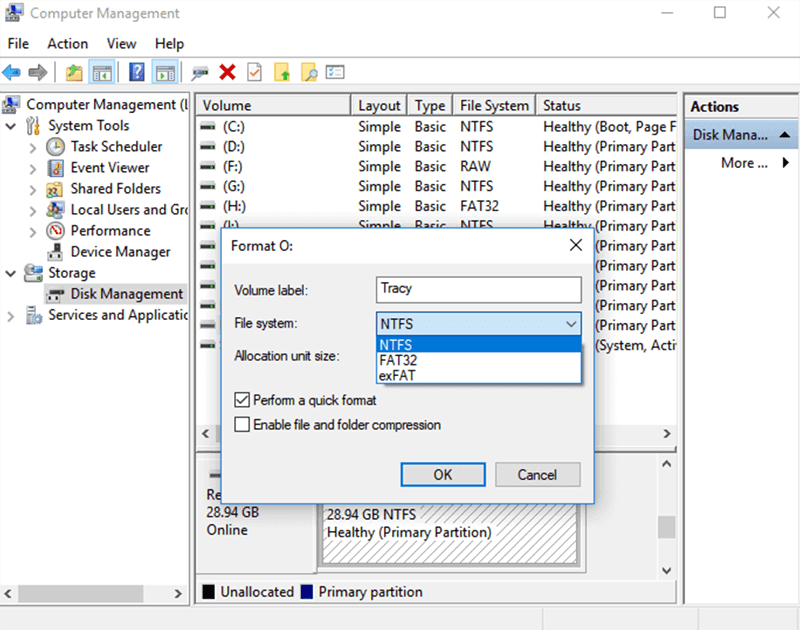 Select exFAT or FAT32 as the file system