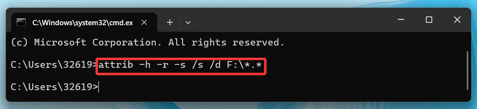 Execute the attrib Command