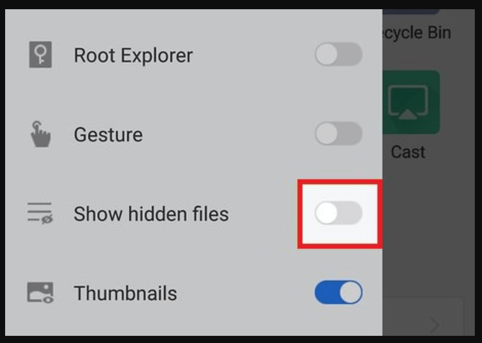 Enable Show Hidden Files