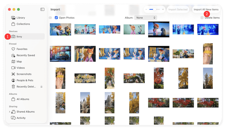 transfer photos from Sony digital camera to Mac vis USBS