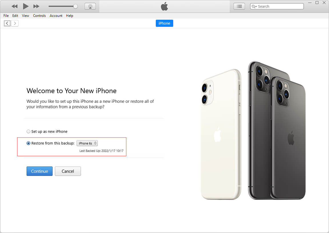 Using iTunes to set up new iPhone