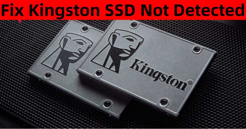 Kingston SSD not being detected