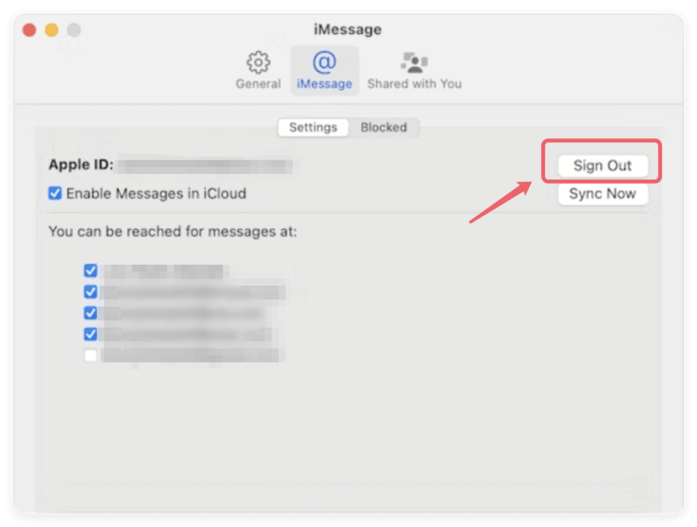 erase startup disk data on macOS Ventura