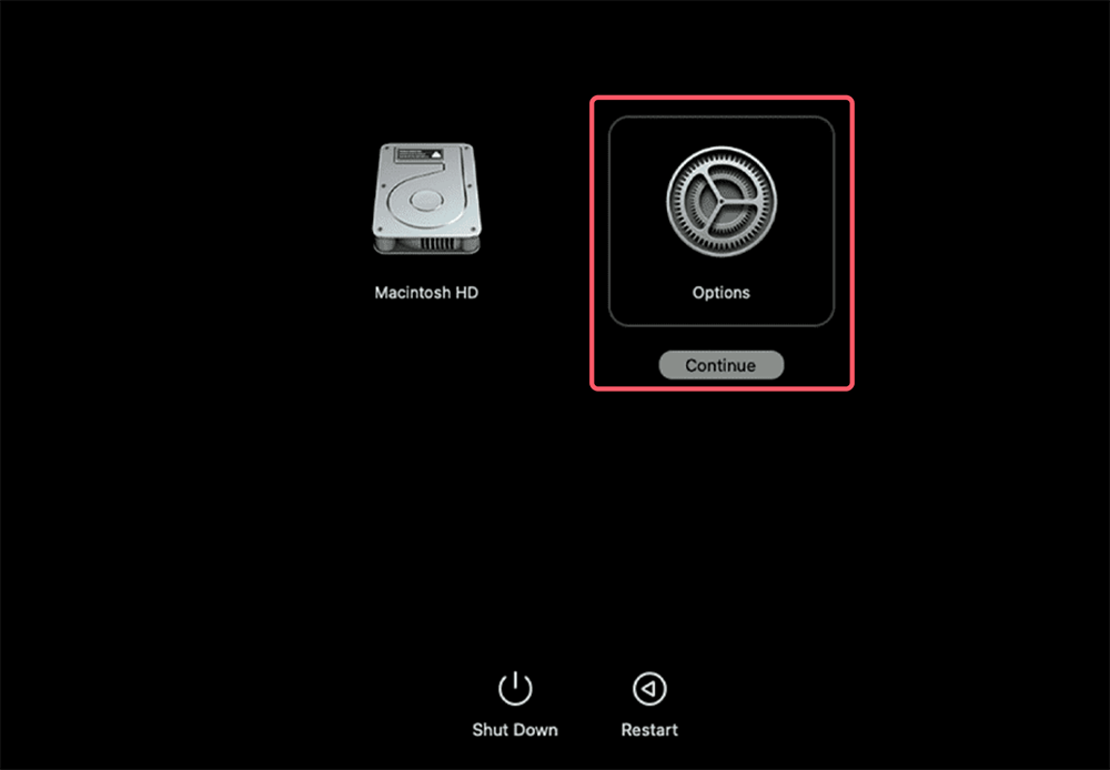 Enter macOS Recovery Mode