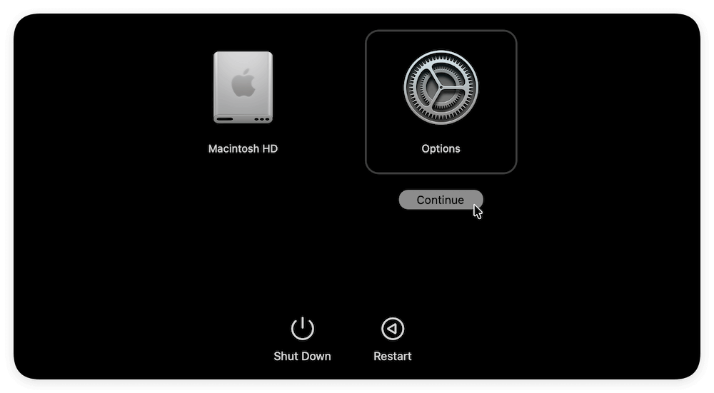 disable SIP and recover data in APFS