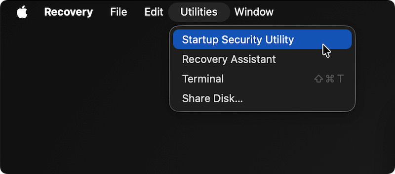 disable SIP and recover data in APFS